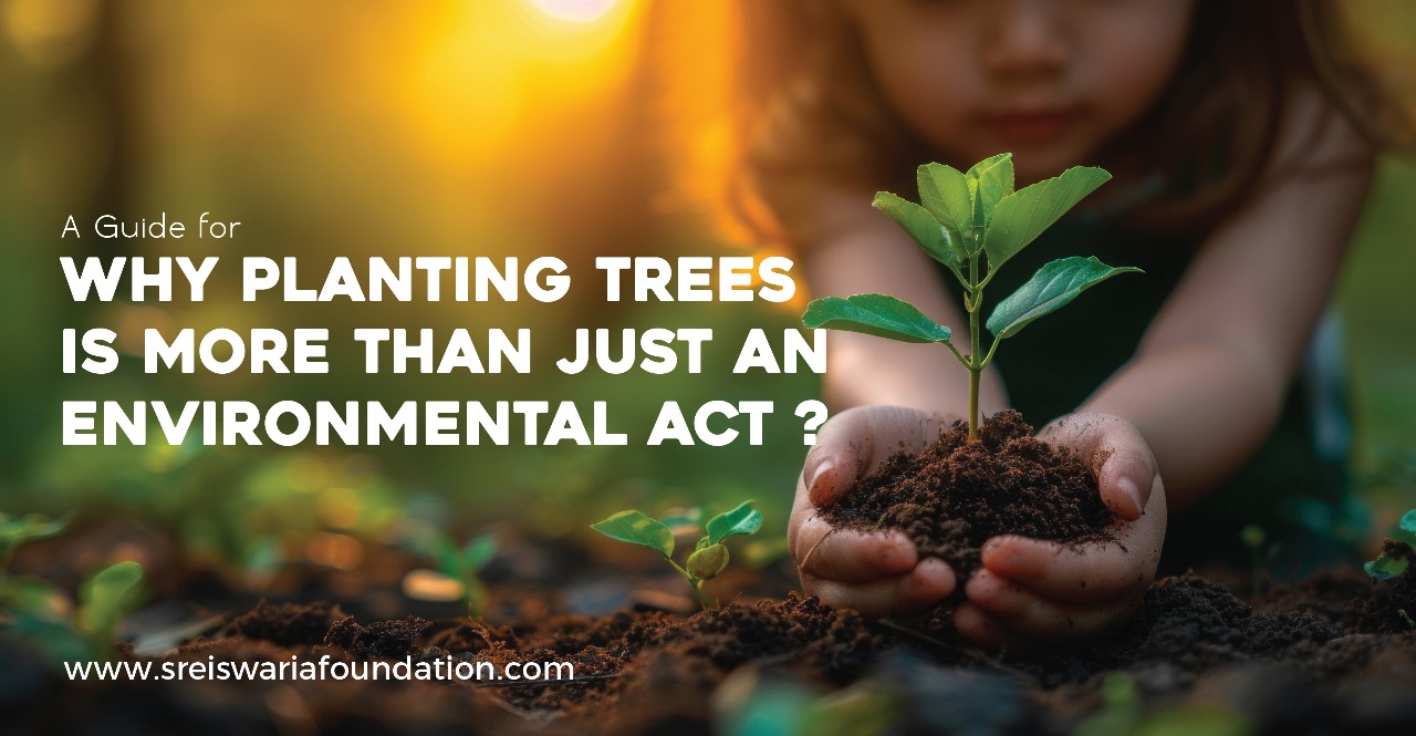 Why Planting Trees is More Than Just an Environmental Act